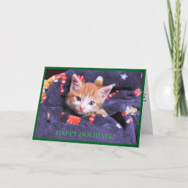 Graue Blanket Katze Orange Kitten Ferienkarte Feiertagskarte
