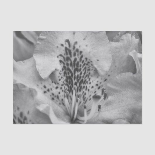graue Blume Seidenpapier (Vorderseite)