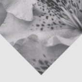 graue Blume Seidenpapier (Ausschnitt)