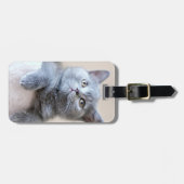 Graue britische Shorthair Katze Gepäckanhänger (Vorderseite horizontal)