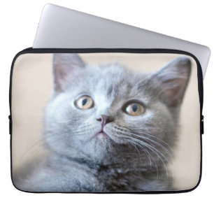 Graue britische Shorthair Katze Laptopschutzhülle