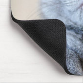 Graue britische Shorthair Katze Mousepad (Ecke)