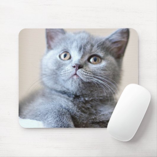 Graue britische Shorthair Katze Mousepad (Mit Mouse)