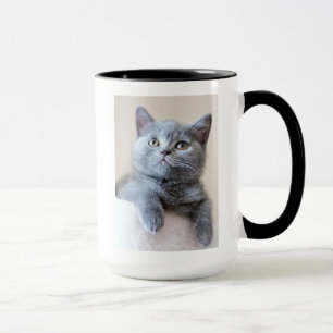 Graue britische Shorthair Katze Tasse