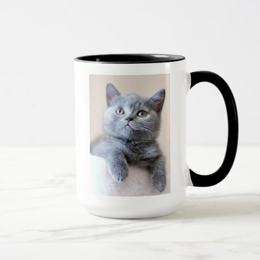 Graue britische Shorthair Katze Tasse (Rechts)