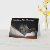 Graue Cat Happy Birthday Card Karte (Gelbe Blume)