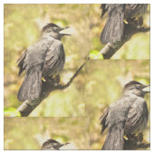 Graue Catbird-Fabric Stoff (Nahaufnahme)