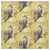 Graue Catbird-Fabric Stoff (Muster)