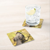 Graue Catbird-Untersetzer singen Rechteckiger Pappuntersetzer (Vor Ort)