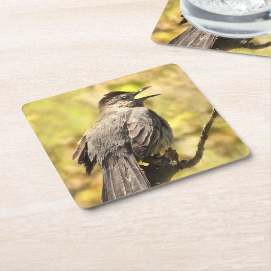 Graue Catbird-Untersetzer singen Rechteckiger Pappuntersetzer (angewinkelt)