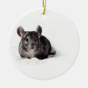 Graue Chinchilla niedlich in der Decke Keramikornament