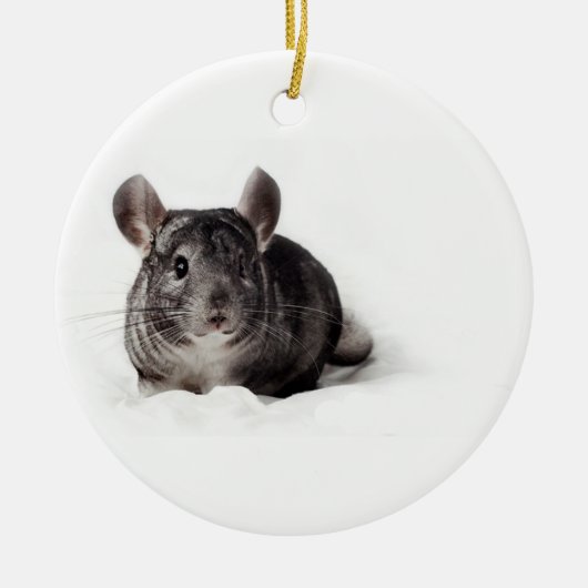 Graue Chinchilla niedlich in der Decke Keramikornament (Vorne)