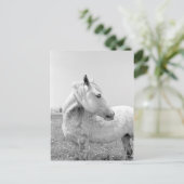 Graue Dappled at Pasta Postkarte (Stehend Vorderseite)