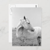 Graue Dappled at Pasta Postkarte (Vorne/Hinten)