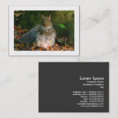 Graue Eichhörnchen (besetzt) Visitenkarte (Vorne/Hinten)