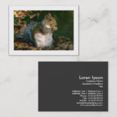 Graue Eichhörnchen (besetzt) Visitenkarte (Vorne/Hinten)