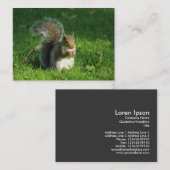 Graue Eichhörnchen, Bute Park, Cardiff Visitenkarte (Vorne/Hinten)