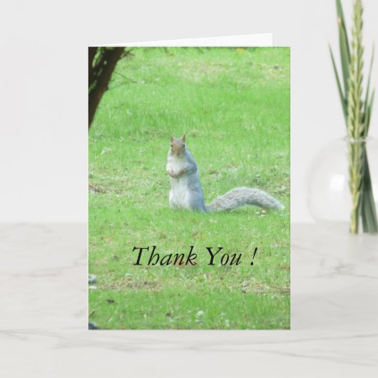 Graue Eichhörnchen Danke Karte (Vorderseite)