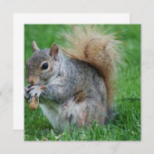 Graue Eichhörnchen-Einladungen Einladung (Vorne/Hinten)