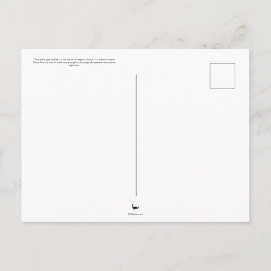 Graue Eichhörnchen in Baumüberquerung Postkarte (Rückseite)