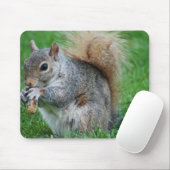Graue Eichhörnchen-Mausunterlage Mousepad (Mit Mouse)