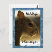 Graue Eichhörnchen-Postkarte Tier-Mississippis Postkarte (Vorne/Hinten)