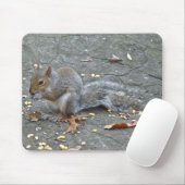 Graue Eichhörnchen Weihnachtsblessserie Mousepad (Mit Mouse)