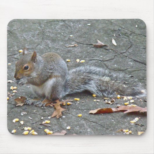 Graue Eichhörnchen Weihnachtsblessserie Mousepad (Vorne)