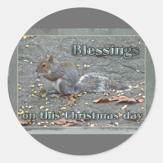 Graue Eichhörnchen Weihnachtsblessserie Runder Aufkleber (Vorderseite)