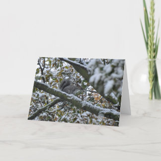 Graue Eichhörnchen Weihnachtskarte Feiertagskarte