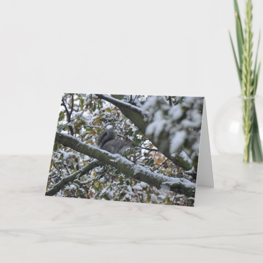 Graue Eichhörnchen Weihnachtskarte Feiertagskarte (Vorderseite)