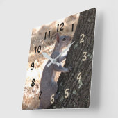 Graue Eichhörnchenhalterung Quadratische Wanduhr (Winkel)