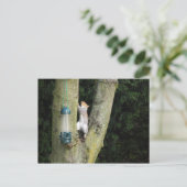 Graue Eichhörnchenkarte Postkarte (Stehend Vorderseite)