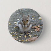 Graue Eichhörnchenserie Button (Vorderseite)