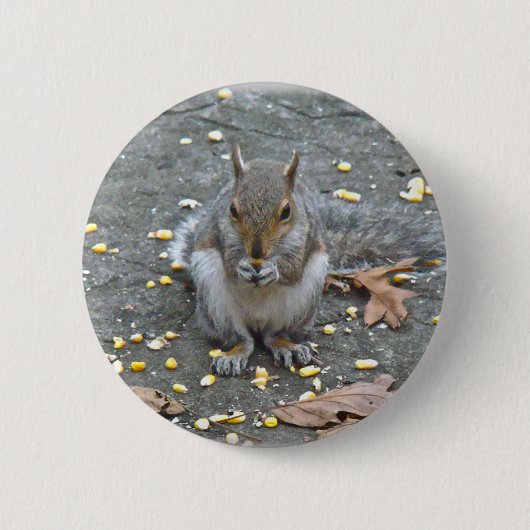 Graue Eichhörnchenserie Button (Vorderseite)