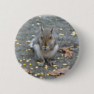 Graue Eichhörnchenserie Button