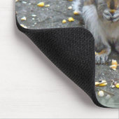 Graue Eichhörnchenserie Mousepad (Ecke)
