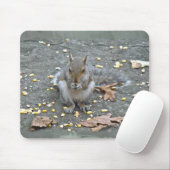 Graue Eichhörnchenserie Mousepad (Mit Mouse)