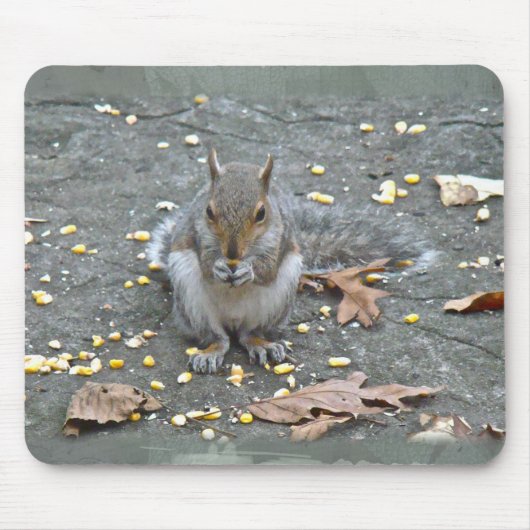 Graue Eichhörnchenserie Mousepad (Vorne)
