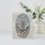 Graue Eichhörnchenserie Postkarte (Stehend Vorderseite)