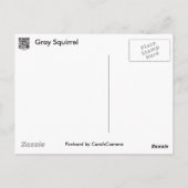 Graue Eichhörnchenserie Postkarte (Rückseite)