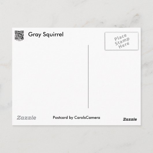 Graue Eichhörnchenserie Postkarte (Rückseite)