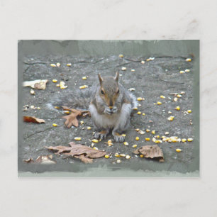 Graue Eichhörnchenserie Postkarte