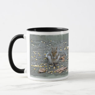 Graue Eichhörnchenserie Tasse