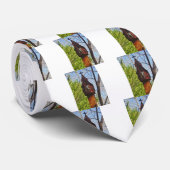 graue Eidechse auf abgenutztem Holz Krawatte (Gerollt)