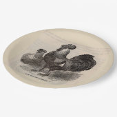 Graue englische Dorkings Hühner aus dem 19. Jahrhu Pappteller (Schrägansicht)