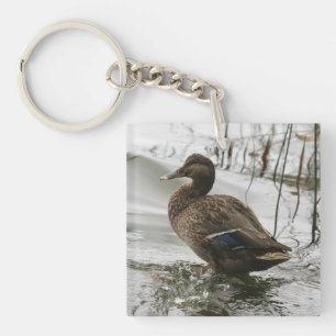 Graue Ente auf dem dunklen See Schlüsselanhänger