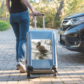 Graue Ente im Dunkeln des Sees Aufkleber (Koffer Insitu)