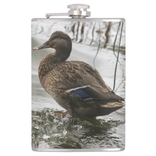 Graue Ente im Dunkeln des Sees Flachmann (Vorderseite)