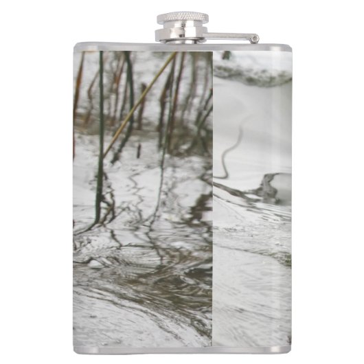 Graue Ente im Dunkeln des Sees Flachmann (Rückseite)